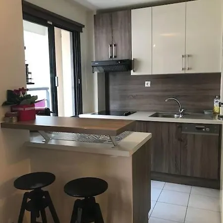 Charmant Studio Grand Balcon Parking Apartment